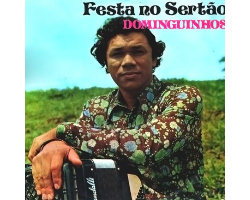 Dominguinhos - Festa no Sertão