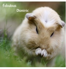 Dominic - fabulous