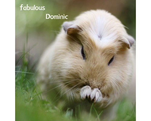 Dominic - fabulous