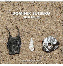 Dominik Eulberg - Spülsaum