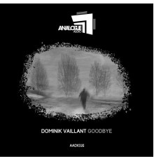 Dominik Vaillant - Goodbye