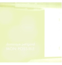 Dominique Petitgand - Mon possible