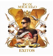 Don Miguelo - Exitos