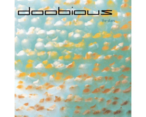 Doobious - the stars