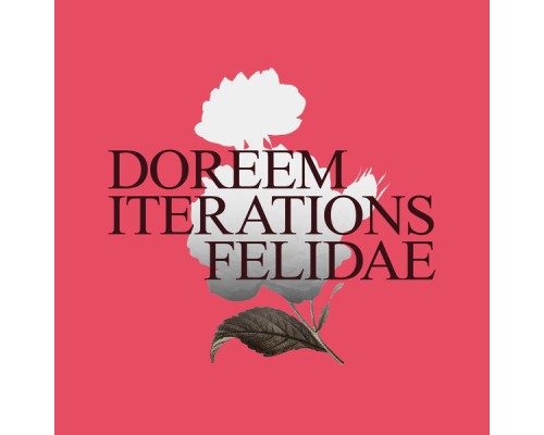 Doreem - Iterations Felidae