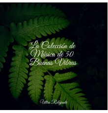 Dormir e Meditar, Sonidos de lluvia para dormir, Canção de Ninar Bebe - La Colección de Música de 50 Buenas Vibras