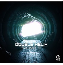 Double Helix - Endurance EP