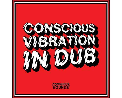 Dougie Conscious - Vibration in Dub