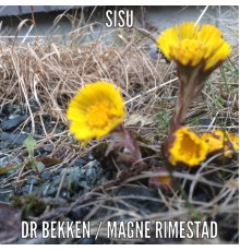 Dr Bekken - Sisu