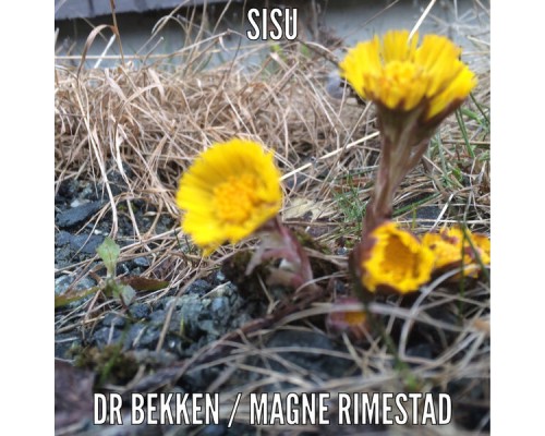 Dr Bekken - Sisu