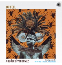 Dr Feel - Vaudzeyi Vanamate