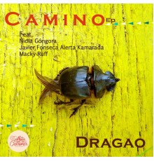 Dragao - Camino