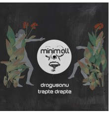 Dragusanu - Trepte Drepte