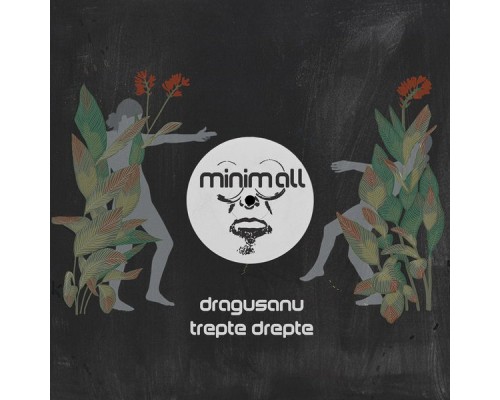 Dragusanu - Trepte Drepte