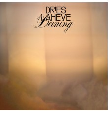 Dries Laheye - Deining