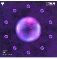 Dry - Mirror EP