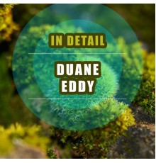 Duane Eddy - In Detail