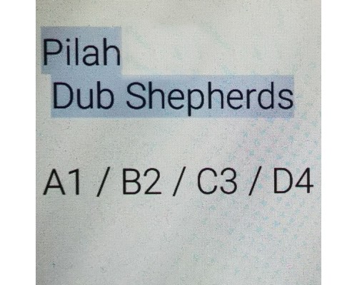 Dub Shepherds, Pilah - A1B2C3D4