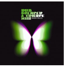 Dub Spencer & Trance Hill - Imago Cells