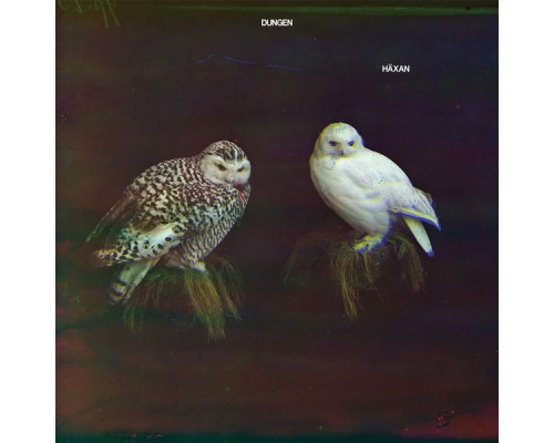 Dungen - Häxan