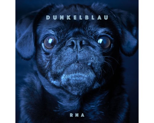 Dunkelblau - RNA