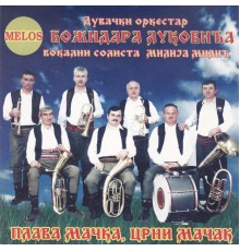 Duvacki orkestar Bozidara Lukovica - Plava macka, crni macak