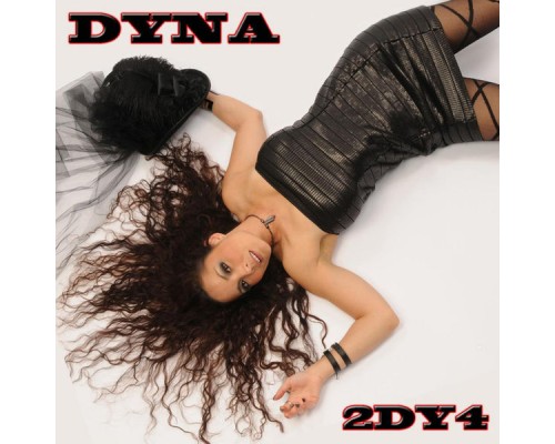 Dyna - 2 D Y 4