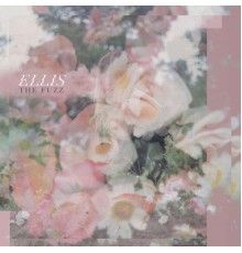 ELLIS - The Fuzz