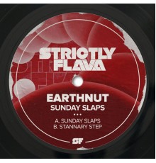 Earthnut - Sunday Slaps (Original Mix)