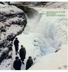 Echo & The Bunnymen - Porcupine