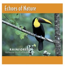 Echoes of Nature - Rainforest