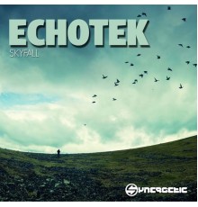 Echotek - Skyfall