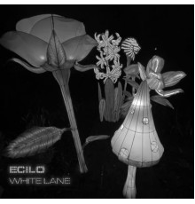 Ecilo - White Lane