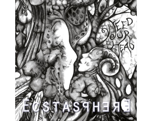 Ecstasphere - Feed Your Head