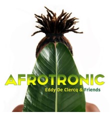 Eddy De Clercq & Friends - Afrotronic