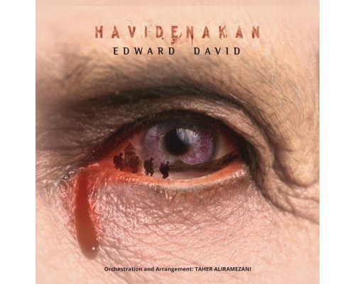 Edward David - Havidenakan