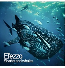 Efezzo - Sharks & Whales (Original Mix)