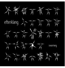 Efterklang - Swarming