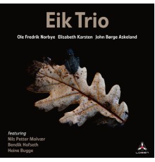 Eik Trio - Trust