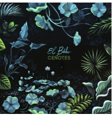 El Buho - Cenotes