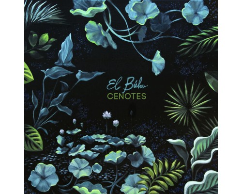 El Buho - Cenotes