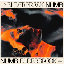 Elderbrook - Numb