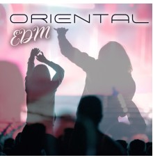 Electro Lounge All Stars, Dance Hits 2014 - Oriental EDM: Progressive Trance Music of India