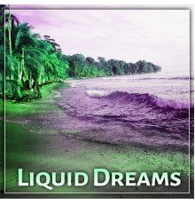 Electronic Music Masters - Liquid Dreams – Chill Out Dreams, Pure Relaxation