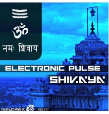 Electronic Pulse - Shivaya