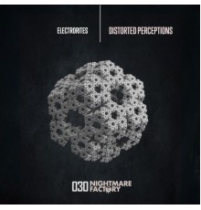 Electrorites - Distorted Perceptions