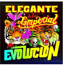 Elegante & La Imperial - Evolucion