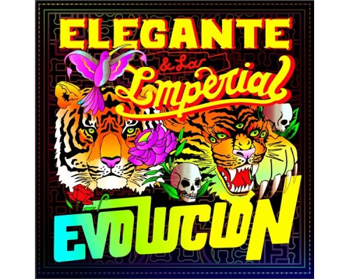 Elegante & La Imperial - Evolucion