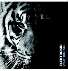 Elektrokid - Eye of the tiger