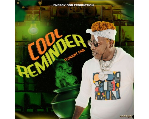 Elephant Man - Cool Reminder